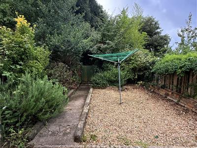 Picture 14